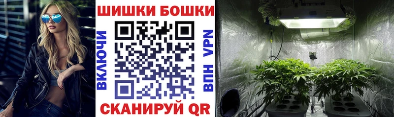 Шишки марихуана гибрид Купить закладки Дальнереченск